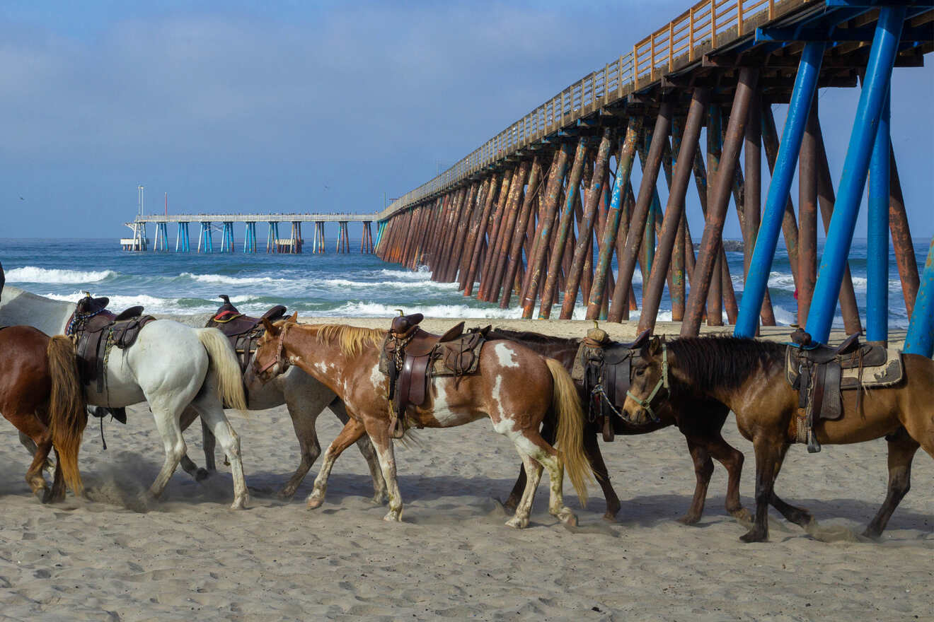 4 Kids friendly hotels in Rosarito